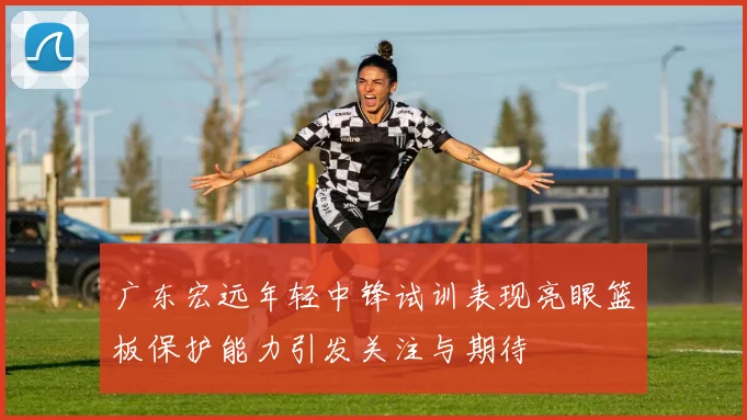 广东宏远年轻中锋试训表现亮眼篮板保护能力引发关注与期待