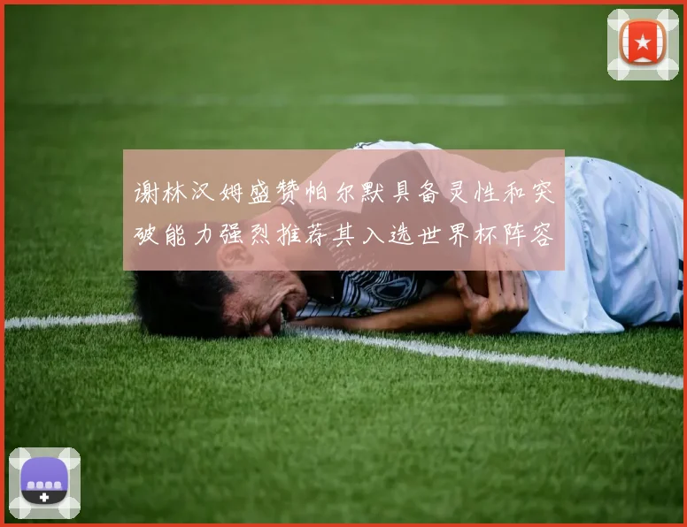 谢林汉姆盛赞帕尔默具备灵性和突破能力强烈推荐其入选世界杯阵容