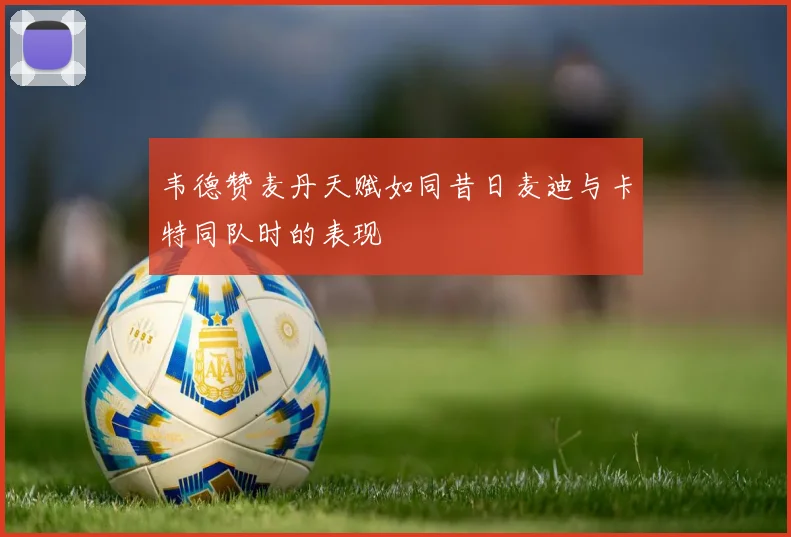 韦德赞麦丹天赋如同昔日麦迪与卡特同队时的表现